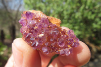 Natural Amethystos Amethyst Specimens x 35 From Kwaggafontein, South Africa