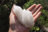 Natural Clear Quartz Crystal Clusters x 6 From Madagascar