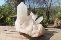 Natural Clear Quartz Crystal Clusters x 6 From Madagascar