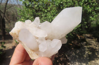 Natural Clear Quartz Crystal Clusters x 6 From Madagascar