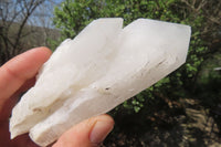 Natural Clear Quartz Crystal Clusters x 6 From Madagascar