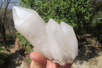 Natural Clear Quartz Crystal Clusters x 6 From Madagascar