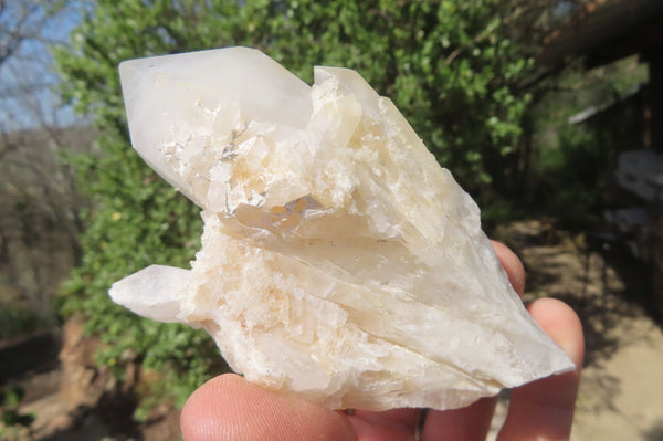 Natural Clear Quartz Crystal Clusters x 6 From Madagascar