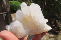 Natural Clear Quartz Crystal Clusters x 6 From Madagascar