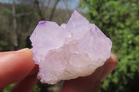 Natural Amethyst Cactus Flower Spirit Quartz Clusters x 12 From South Africa