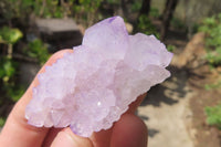 Natural Amethyst Cactus Flower Spirit Quartz Clusters x 12 From South Africa