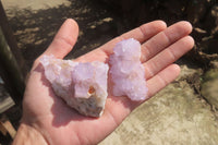 Natural Amethyst Cactus Flower Spirit Quartz Clusters x 12 From South Africa