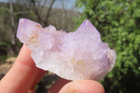 Natural Amethyst Cactus Flower Spirit Quartz Clusters x 12 From South Africa