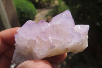 Natural Amethyst Cactus Flower Spirit Quartz Clusters x 12 From South Africa