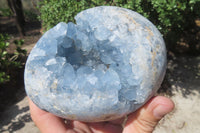 Polished Blue Celestite Egg Geodes x 2 From Madagascar