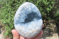 Polished Blue Celestite Egg Geodes x 2 From Madagascar