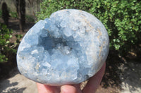 Polished Blue Celestite Egg Geodes x 2 From Madagascar