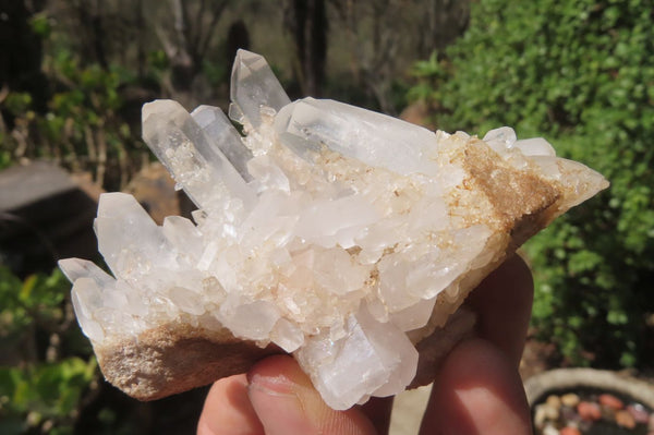 Natural Clear Quartz Crystal Clusters x 12 From Madagascar