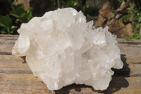 Natural Clear Quartz Crystal Clusters x 12 From Madagascar