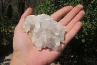 Natural Clear Quartz Crystal Clusters x 12 From Madagascar