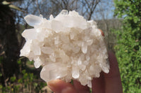 Natural Clear Quartz Crystal Clusters x 12 From Madagascar