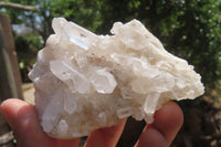 Natural Clear Quartz Crystal Clusters x 12 From Madagascar