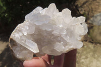 Natural Clear Quartz Crystal Clusters x 12 From Madagascar