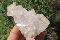 Natural Clear Quartz Crystal Clusters x 12 From Madagascar