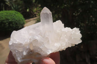 Natural Clear Quartz Crystal Clusters x 12 From Madagascar