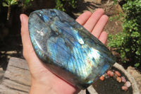 Polished Labradorite Standing Free Forms x 2 From Tulear, Madagascar