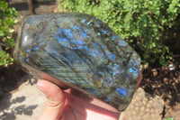 Polished Labradorite Standing Free Forms x 2 From Tulear, Madagascar