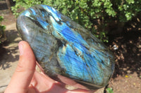 Polished Labradorite Standing Free Forms x 2 From Tulear, Madagascar