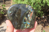 Polished Labradorite Standing Free Forms x 2 From Tulear, Madagascar