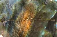 Polished Labradorite Standing Free Forms x 2 From Tulear, Madagascar