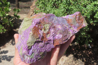 Natural Stichtite Cobbed Specimens x 3 From Barberton, South Africa