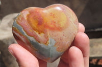 Polished Polychrome Jasper Hearts x 12 From Madagascar