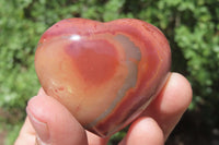 Polished Polychrome Jasper Hearts x 12 From Madagascar