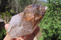 Polished Smokey Window Quartz Crystals x 4 From Madagascar