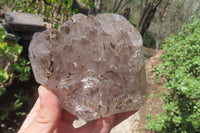 Polished Smokey Window Quartz Crystals x 4 From Madagascar