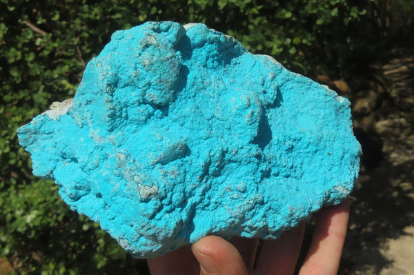 Natural Botryoidal Chrysocolla Specimens x 2 From Kulukuluku, Congo