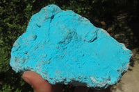 Natural Botryoidal Chrysocolla Specimens x 2 From Kulukuluku, Congo