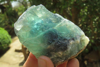 Natural Watermelon Fluorite Cobbed Specimens x 12 From Uis, Namibia