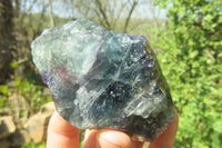 Natural Watermelon Fluorite Cobbed Specimens x 12 From Uis, Namibia