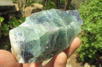 Natural Watermelon Fluorite Cobbed Specimens x 12 From Uis, Namibia