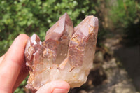 Natural Red Hematoid Quartz Clusters x 6 From Karoi, Zimbabwe