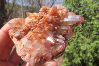 Natural Red Hematoid Quartz Clusters x 6 From Karoi, Zimbabwe