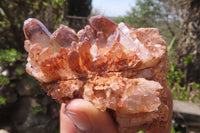 Natural Red Hematoid Quartz Clusters x 6 From Karoi, Zimbabwe