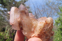 Natural Red Hematoid Quartz Clusters x 6 From Karoi, Zimbabwe