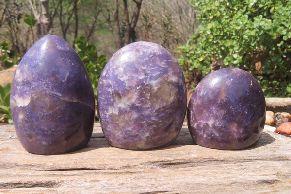 Polished Lepidolite with Pink Rubellite Standing Free Forms x 3 From Madagascar