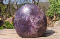 Polished Lepidolite with Pink Rubellite Standing Free Forms x 3 From Madagascar