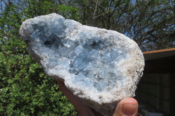 Natural Celestite Geode Specimen x 1 From Sakoany, Madagascar