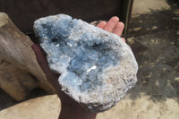 Natural Celestite Geode Specimen x 1 From Sakoany, Madagascar