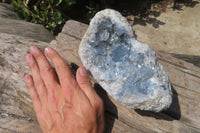 Natural Celestite Geode Specimen x 1 From Sakoany, Madagascar