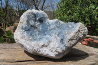 Natural Celestite Geode Specimen x 1 From Sakoany, Madagascar