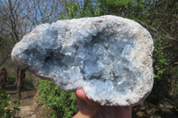 Natural Celestite Geode Specimen x 1 From Sakoany, Madagascar